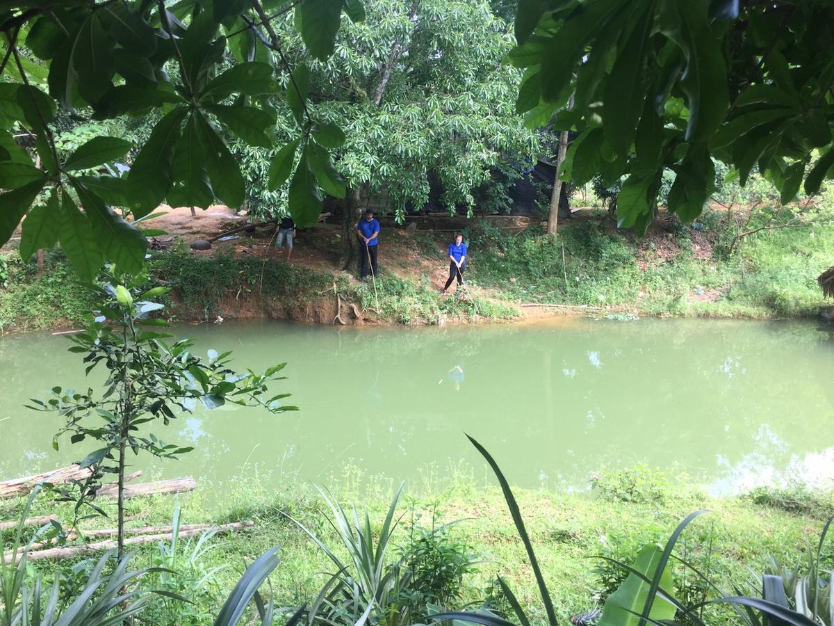 Phong Nha Rice Field Homestay Exterior foto