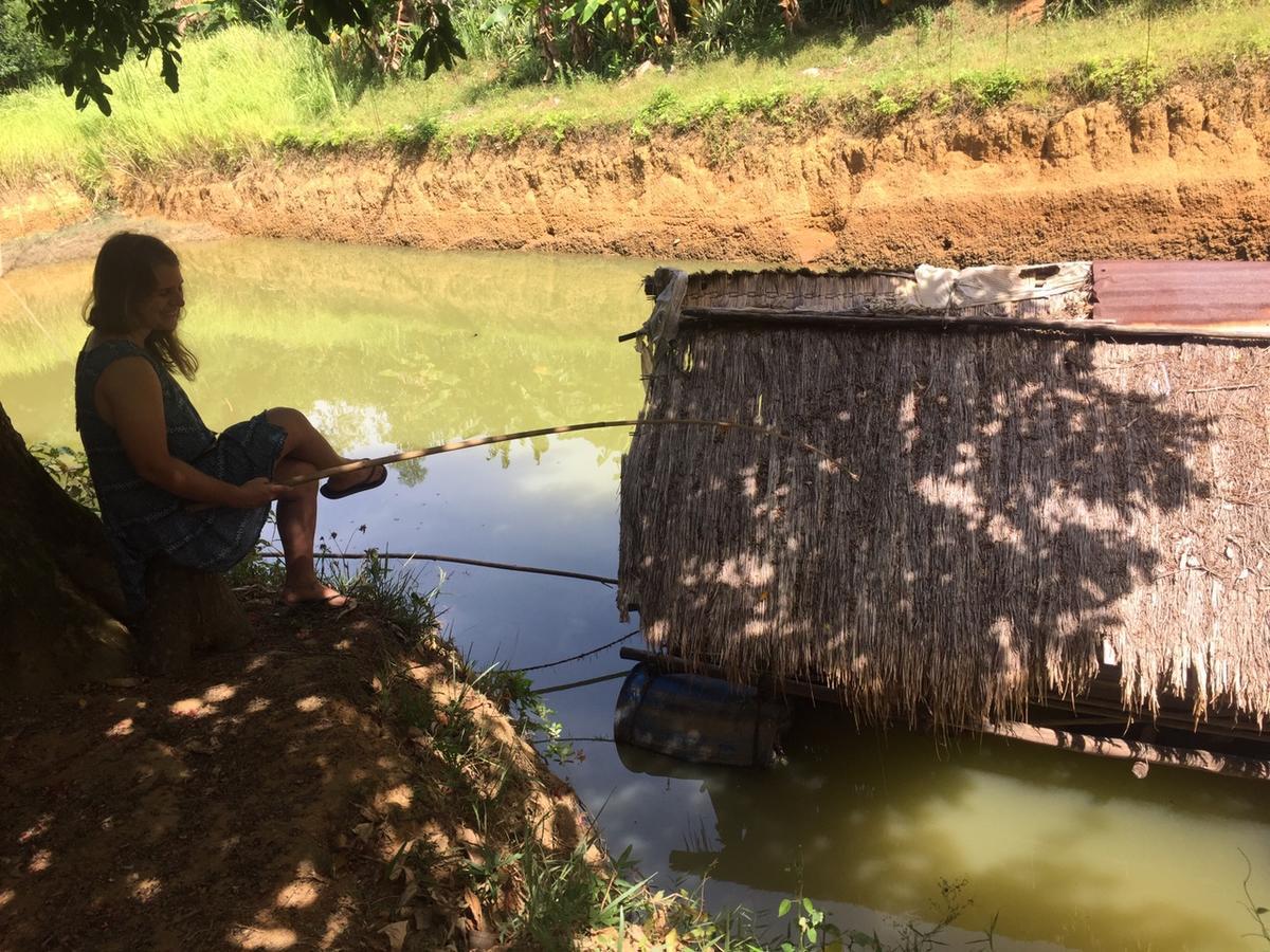Phong Nha Rice Field Homestay Exterior foto