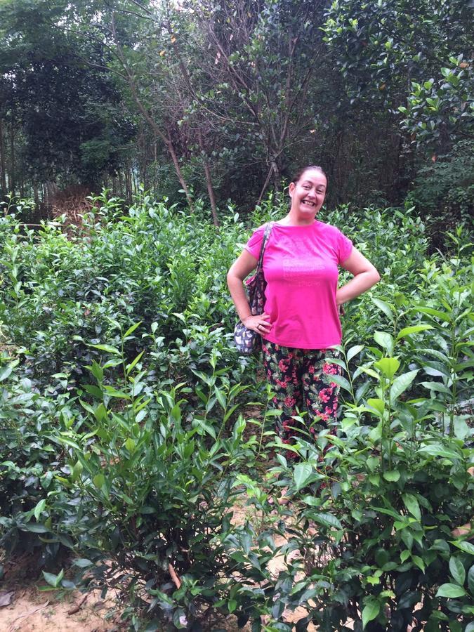 Phong Nha Rice Field Homestay Exterior foto
